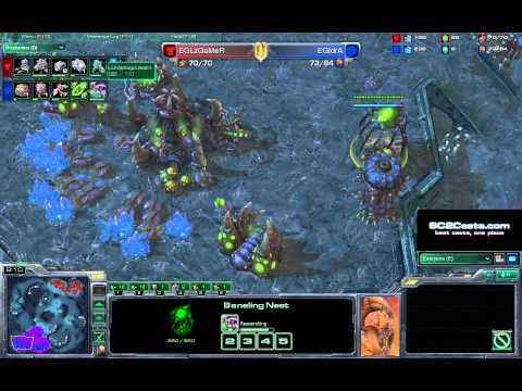 EGIdrA (Z) VS EGLzGaMeR (T) Starcraft 2