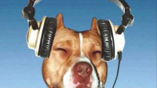 Livvi Franc - Now I&#39;m That Bitch (Kaskade Mix Extended)