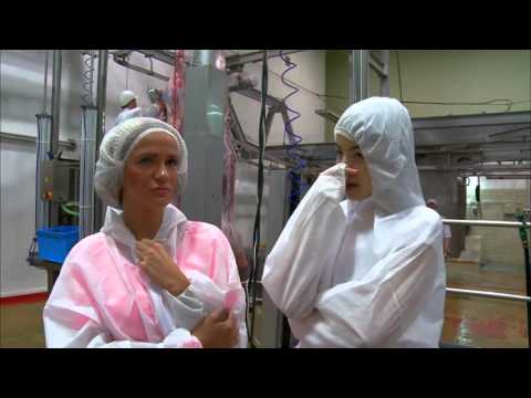 Zlatá mládež - 18. 11. 2015 ve 21:25 na ČT1