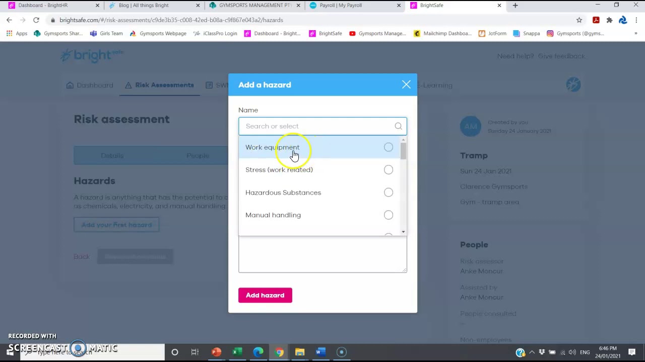 Brightsafe Risk Assessment