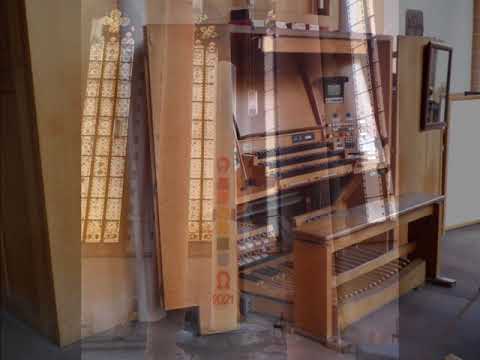 Pfingsten 2003 in Heidelberg - ein "Heiliggeistkonzert in Heiliggeist" / Stefan Göttelmann, live