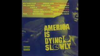 [America Is Dying Slowly] Goodie Mob featuring Big Rube &quot;Blood&quot;