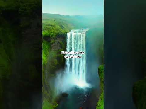 Nunca devuelvan a nadie mal por mal. #reflexion #consejos #graciasdios