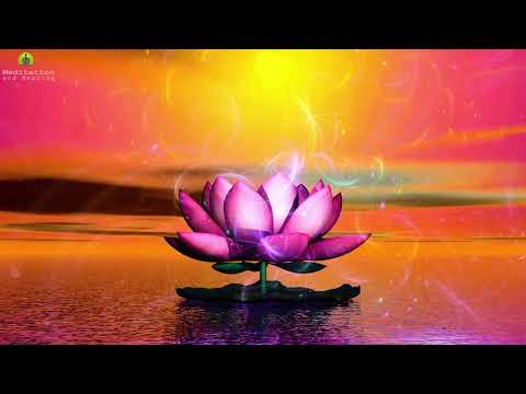 Deep Healing Music Relax Mind Body: Cleanse Anxiety, Stress & Toxins, Magical Sleep Meditation