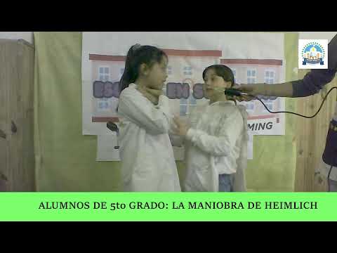 Cuarto. Quinto y Sexto grado