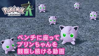 【耐久】【プリン観察動画】ポケモンZA ベンチでまったりとプリンちゃんを観察する動画
