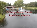 Video Thumbnail for Fishing Bower Ponds Red Deer Alberta