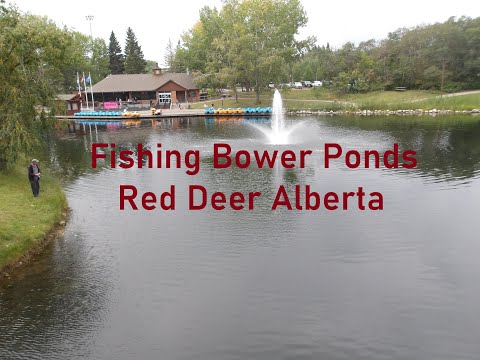 Fishing Bower Ponds Red Deer Alberta