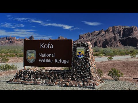 Discover KOFA: Quartzsite's Hidden Gem