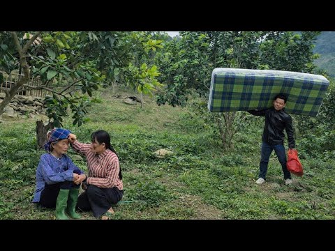 Tears, hope, and a mystery – an 82-year-old woman moves in, A Su's shock when a stranger appears.