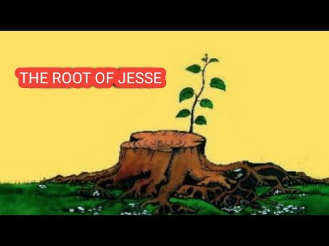 Who is the branch from the root of the Jesse tree?