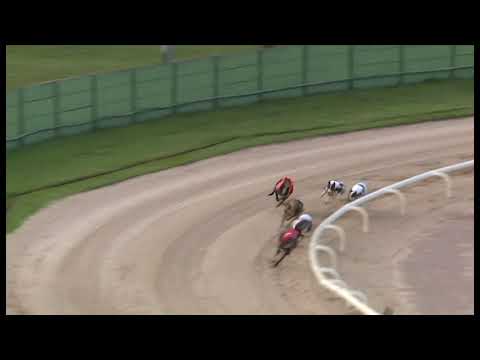 Droopys Live - Summer Stayers Classic 1st semi-final