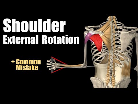 Shoulder External Rotation (With Cable)