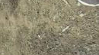 Abandoned Pools - start over