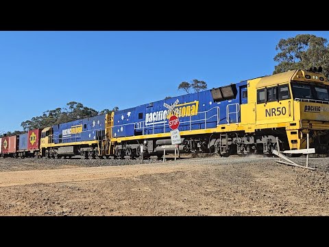 1PM5 PN up "Linfox Express #1" (NR50, NR72), Perth to Melbourne, 1645, 11/12/24, Ararat West VIC