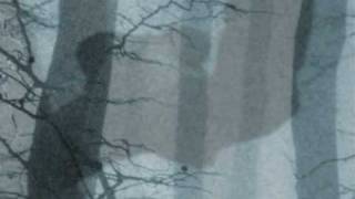 Trentemøller: Evil Dub