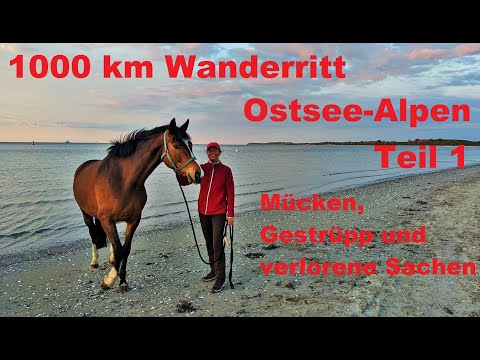 Wanderritt Doku #1 Ostsee Alpenritt Warum verliere ich alles? | Wanderreiten