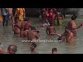 Mass Bathing At The Ganga River In India The Holy Dip