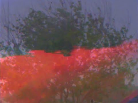 I Want a Best Friend