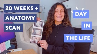 Working from home 20 weeks pregnant - Day in the life working in tech! (Product Designer)