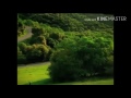 K Fee Screamers Commercial Is FAST FAST FASTER 2004 Germany