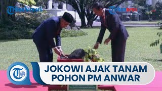 Sambut Kunjungan Perdana Menteri Malaysia, Jokowi Ajak PM Anwar Ibrahim Tanam Pohon Merawan