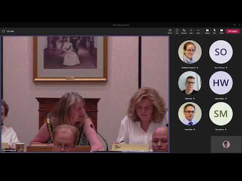 Extraordinary Council Meeting - 22 June 2022