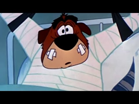 Picolino em Português 🐧Compilação dos Melhores Momentos 🐧Episódios completos | Desenhos Animados