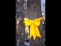 "Tie a Yellow Ribbon Round the Ole Oak Tree ...