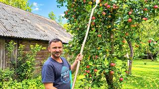 Country Life After the City | Harvesting for Winter and Cleaning the Chicken Coop
