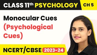 Monocular Cues (Psychological Cues) - Class 11 Psychology Chapter 5