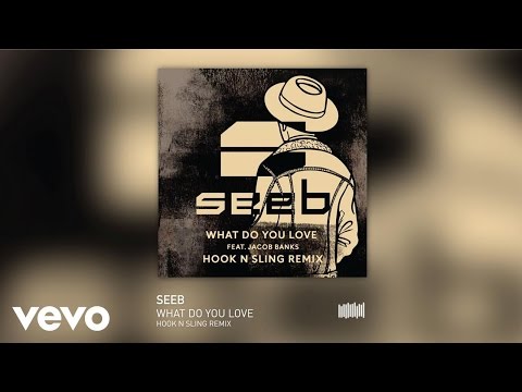 Video thumbnail for What Do You Love (Hook N Sling Remix)