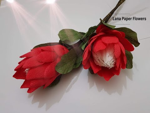 How To Make Queen Proty Paper Flower From Crepe Paper - Caft Tutorial