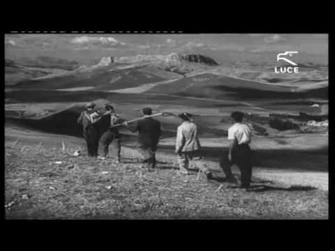 L'EMIGRAZIONE: "IERI E OGGI" - Documentario realizzato dall'Associazione "La Fenice" di Borgetto