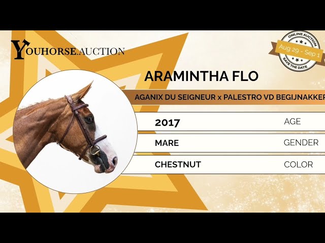 Aramintha Flo showvideo outdoor