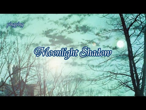 夜光 英文