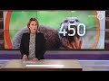 GLD Nieuws 2 januari 2021