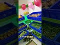 Vegetable Display Racks For Shops