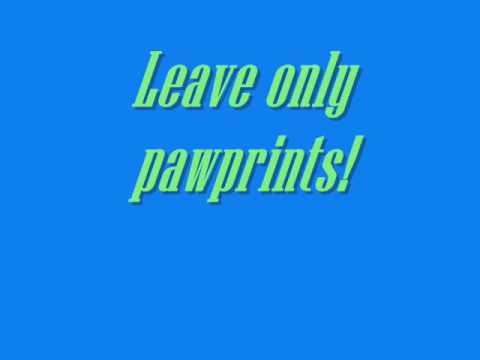 C.G.I Wishing you a clean christmas (mis-adventures of rebus)