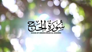 Download lagu Surah Al-Hajj by Voice of Sheikh Saad Al-Ghamdi - Tilawat-E-Quran-E-Pak #quran #tilawat #islam #uae mp3