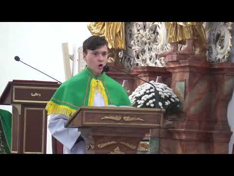 Transmisja na żywo mszy św. z kościoła w Środzie Śl. (15.11.2020)