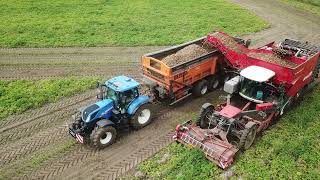 Van Bruwaene & Zn | Aardappelen rooien | Dewulf Enduro