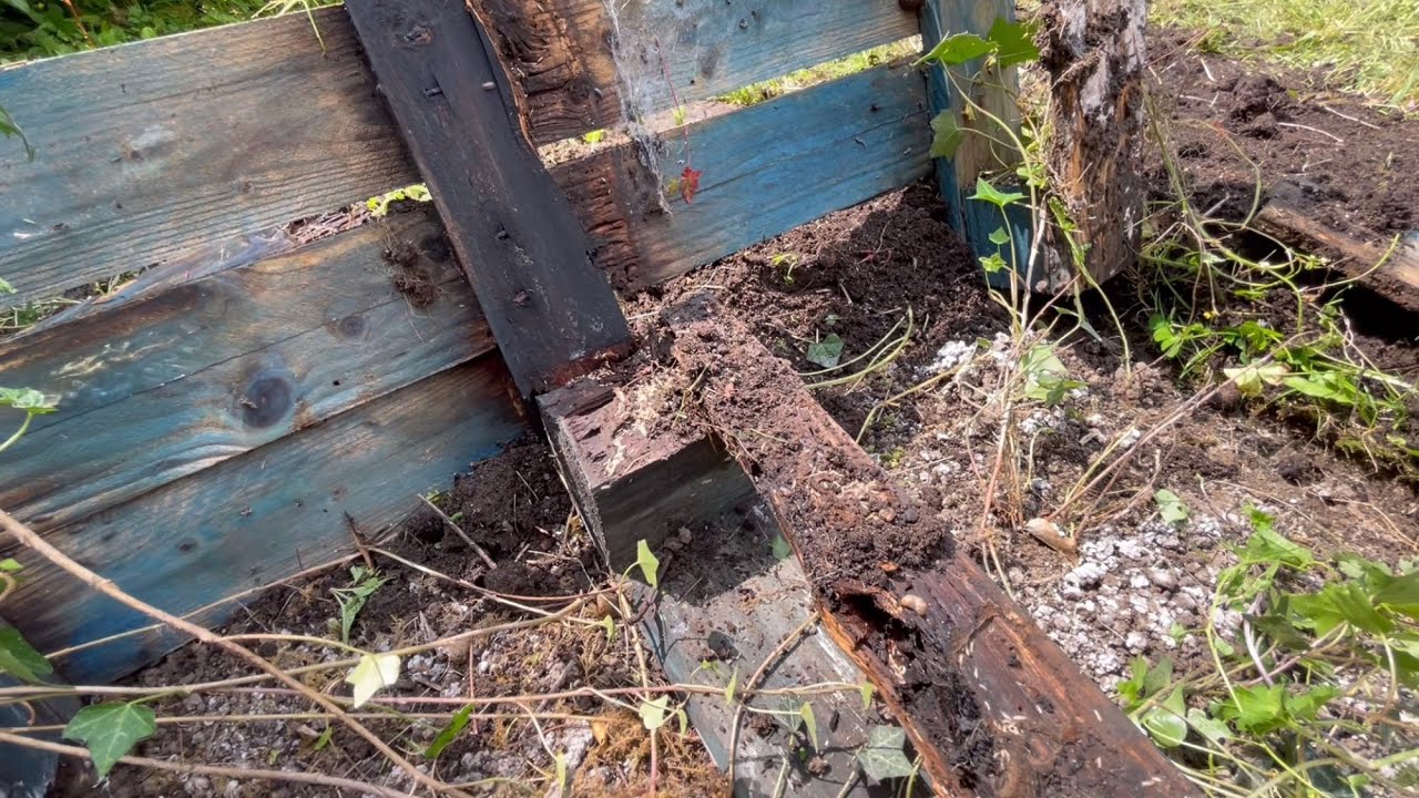 【#14フランスで築100年フルDIY】わっ!!シロアリや‼︎