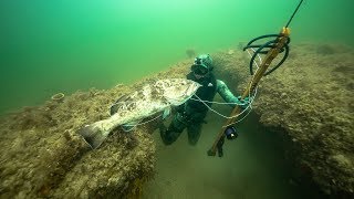 Spearfishing for GIANT Grouper In Ocean!! (Dangerous shot) | Jiggin&#39; With Jordan