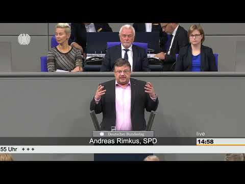 Andreas Rimkus: Wirtschaft und Energie [Bundestag 22.11.2018]