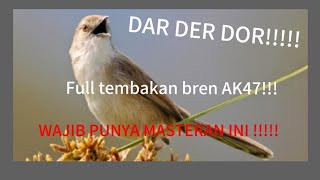 Download lagu 6 VARIATIONS OF Cigun CRAZY SHOOTING SOUNDS, very SUITABLE for mastering birds to become CHAMPIONS mp3 Download lagu 6 VARIATIONS OF Cigun CRAZY SHOOTING SOUNDS, very SUITABLE for mastering birds to become CHAMPIONS mp3