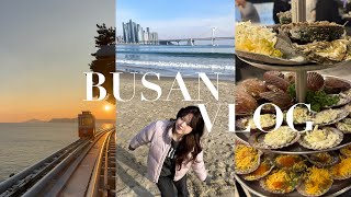 釜山VLOG🏝️ミシュラン掲載のお店巡り/楽しく観光したりノロにかかったり🥹