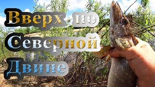 рыбалка на северной двине летом где ловить рыбалка на северной двине летом где ловить