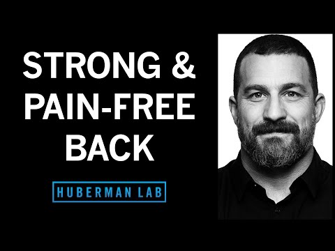 Protocols to Strengthen & Pain Proof Your Back