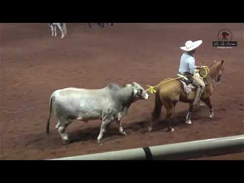 Final Campeonato Nacional de Piales Corveros